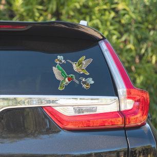 Sticker Colibris et abeilles
