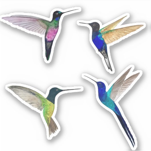 Sticker Colibris Tropicaux (Devant)