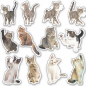 Sticker Collection d'autocollants de chats (Devant)