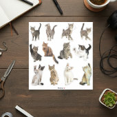 Sticker Collection d'autocollants de chats