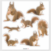 Sticker Collection d'autocollants d'écureuils (Feuille)