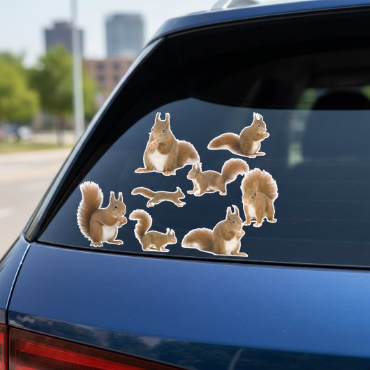 Sticker Collection d'autocollants d'écureuils