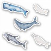 Sticker Collection de baleines d'aquarelle (Devant)