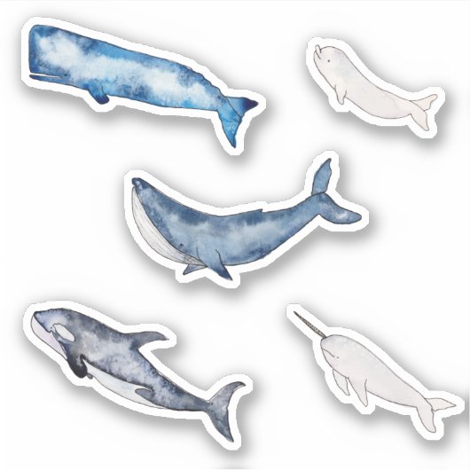 Sticker Collection de baleines d'aquarelle (Devant)