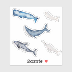 Sticker Collection de baleines d'aquarelle