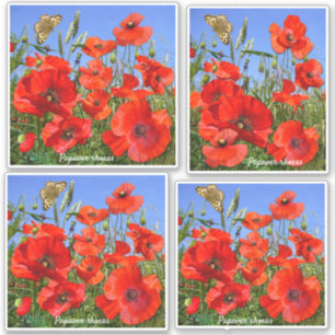 Sticker Coloré Rouge Poppies Contour