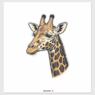 Sticker Conception de chemise de portrait de girafe gravur