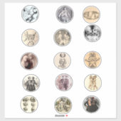 Sticker Conjoint Siamese Twins Sideshow Freaks Pics Art (Feuille)