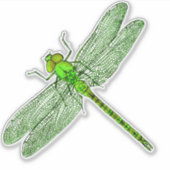 Sticker Contour de libellules vertes (Devant)