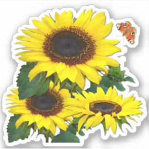 Sticker Contour des tournesols