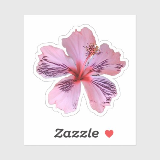 Sticker Contour Hibiscus (Feuille)