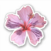 Sticker Contour Hibiscus (Devant)