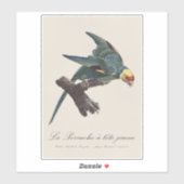 Sticker Conure de Caroline, Conuropsis carolinensis (Feuille)