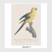 Sticker Conure soleil ou Aratinga solstitialis (Feuille)