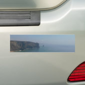 Sticker COOL ECO STYLE (En voiture)