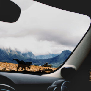 Sticker Cool T-rex Dinosaur Pour Camion