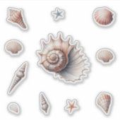 Sticker Coquillages (Devant)