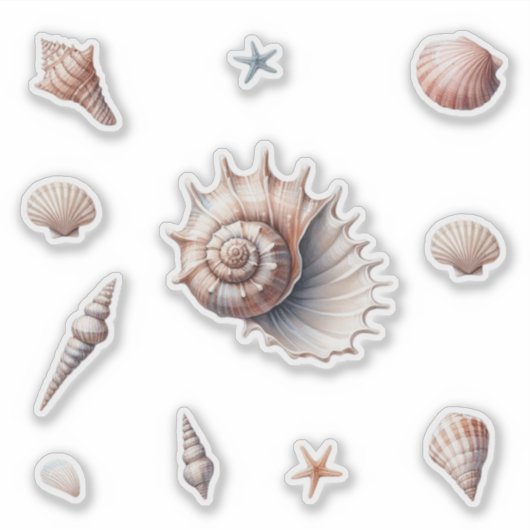 Sticker Coquillages (Devant)