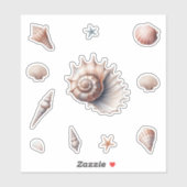 Sticker Coquillages (Feuille)