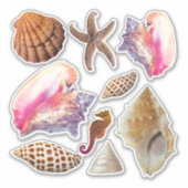 Sticker Coquillages Conchs Collection de poissons Starfish (Devant)