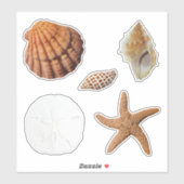 Sticker Coquillages Sable de poisson étoile Dollar Junonia (Feuille)