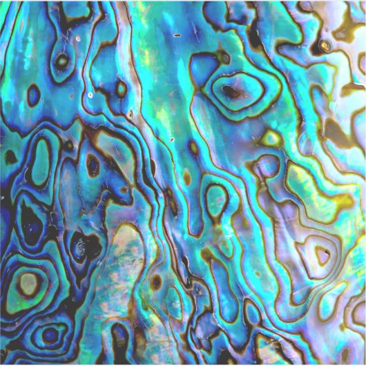 Sticker Coquille d'aluminium (Devant)