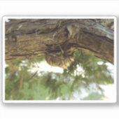 Sticker Coquille de Canada. C'était pressé. (Devant)