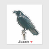 Sticker Corbeau sur une branche (Feuille)