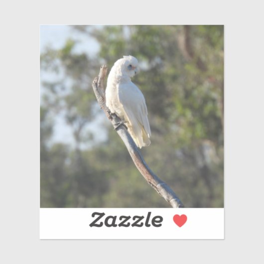 Sticker Corella Bird (Feuille)