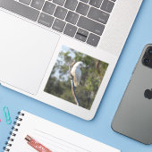 Sticker Corella Bird (Ordinateur portable avec iPhone)