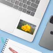 Sticker Cosmos de soufre 01 (Ordinateur portable avec iPhone)