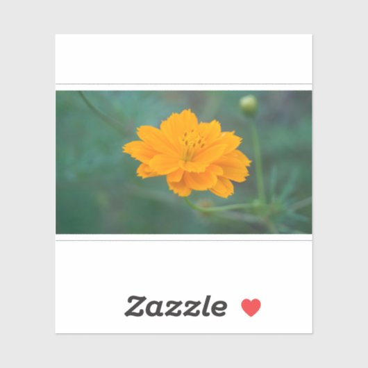 Sticker Cosmos Sulfureux 03 (Feuille)