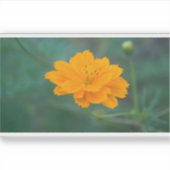 Sticker Cosmos Sulfureux 03 (Devant)