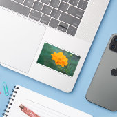 Sticker Cosmos Sulfureux 03 (Ordinateur portable avec iPhone)