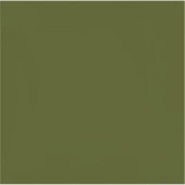 Sticker Couleur solide vert olive foncé (Devant)