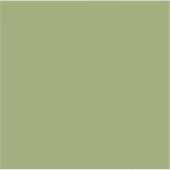 Sticker Couleur solide verte de mousse (Devant)