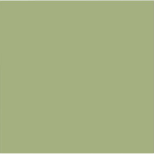 Sticker Couleur solide verte de mousse (Devant)