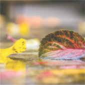 Sticker Couleurs d'automne (Devant)