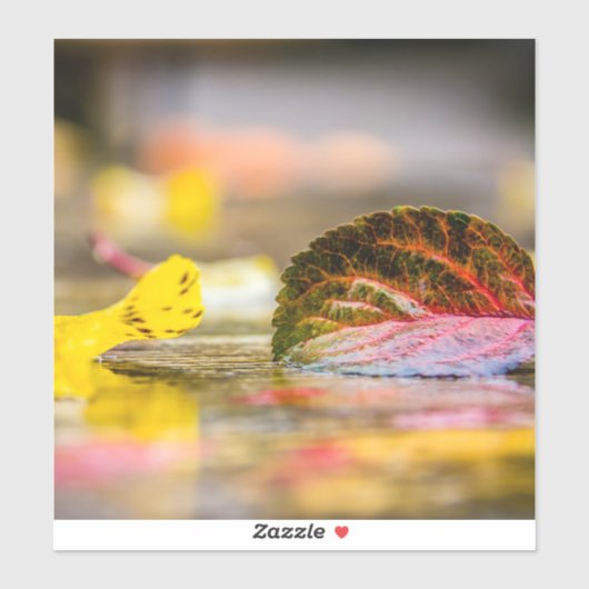 Sticker Couleurs d'automne (Feuille)