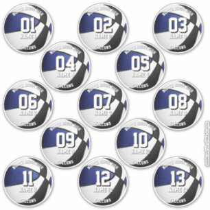 Sticker couleurs d'équipe bleu noir 13 noms de joueurs de