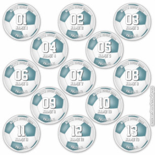 Sticker couleurs d'équipe de footballeurs ensemble de 13 s