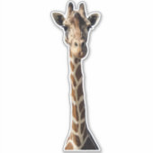 Sticker Coupe-up Sweet Giraffe (Devant)
