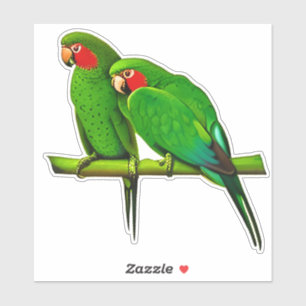 Sticker Couple de perroquet vert et rouge