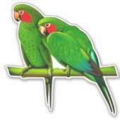 Sticker Couple de perroquet vert et rouge (Devant)