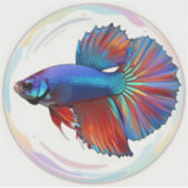 Sticker Courant iridescent – Art de poisson Betta sur viny (Devant)