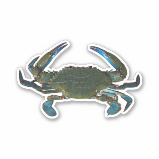 Sticker Crabe bleu (Devant)