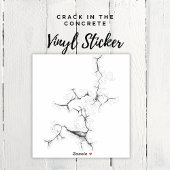 Sticker Crack dans l'autocollant en béton