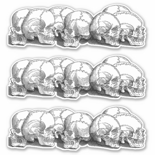 Sticker +|| Crânes Vintages ||+ (Devant)