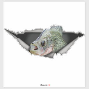 Sticker Crappy auto decal, Crappy sticker, Crappy déchiré 