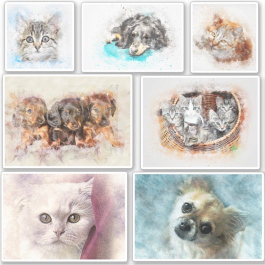 Sticker Créez facilement un contour de photo pour animaux  (Devant)